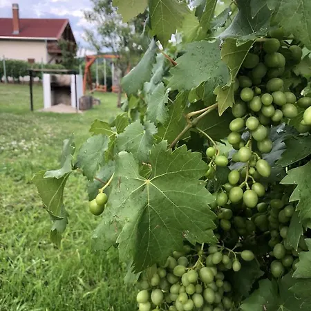 Vadvirag Apartman *
